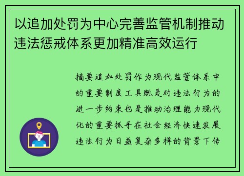 以追加处罚为中心完善监管机制推动违法惩戒体系更加精准高效运行
